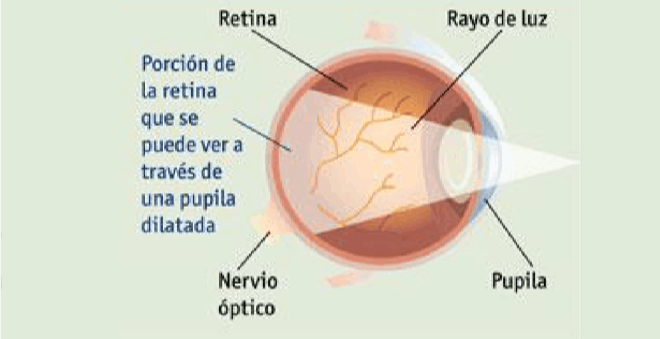 Mapeamiento de retina